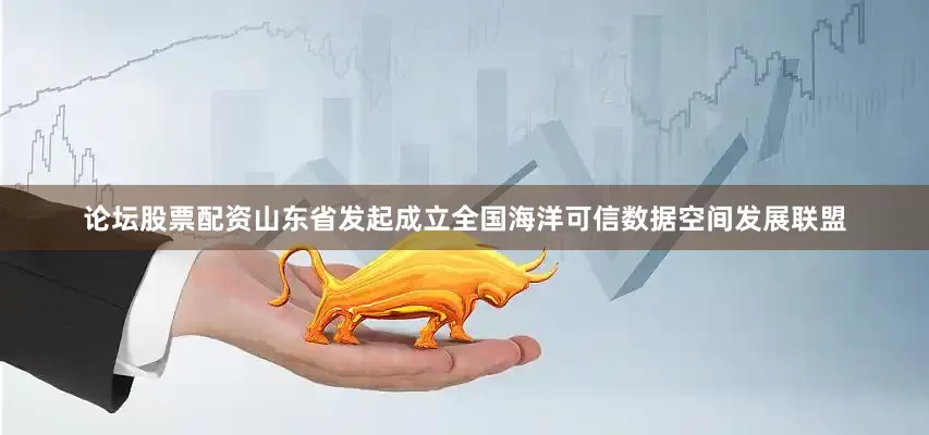 论坛股票配资山东省发起成立全国海洋可信数据空间发展联盟